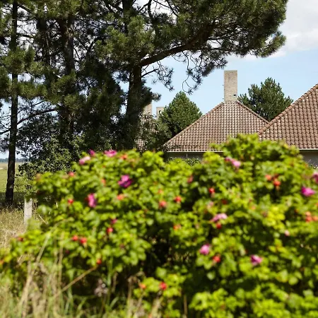 Liii Holiday home
